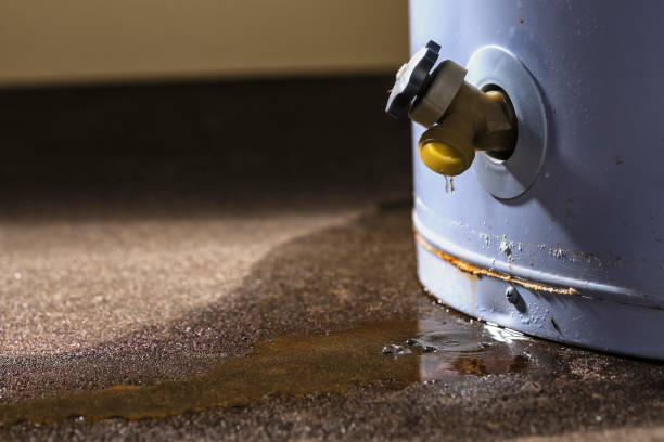 Best Professional water damage repair  in Cherryland, CA