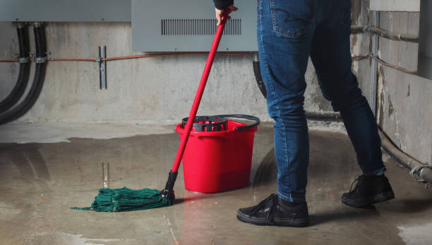Best 24/7 water damage repair  in Cherryland, CA