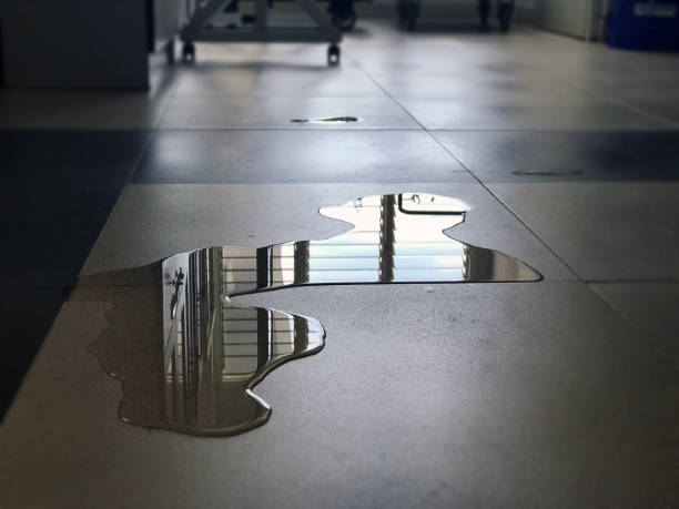 Best 24-hour water damage restoration  in Cherryland, CA