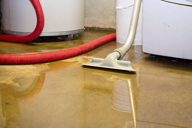Fire Damage Restoration in Cherryland, CA