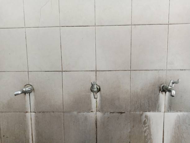 Trusted Cherryland, CA Water damage restoration Experts