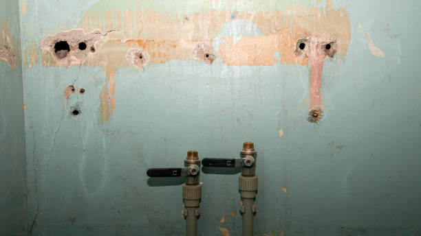 Best Water damage restoration near me  in Cherryland, CA