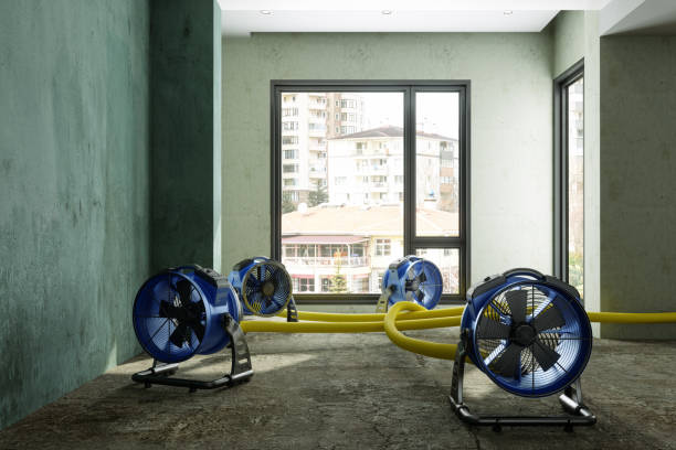 Best Fire Damage Restoration  in Cherryland, CA