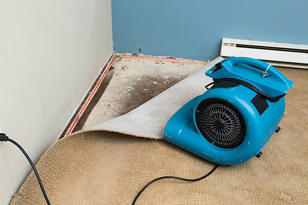 Best Flooded house restoration  in Cherryland, CA