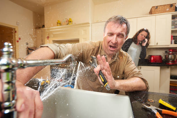 Best Local water damage restoration  in Cherryland, CA